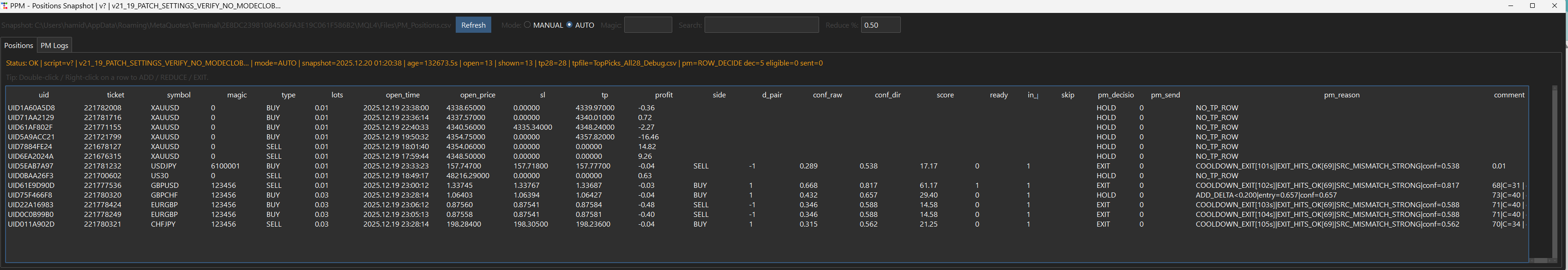 Wide PPM monitor showing open-position snapshots and management context.